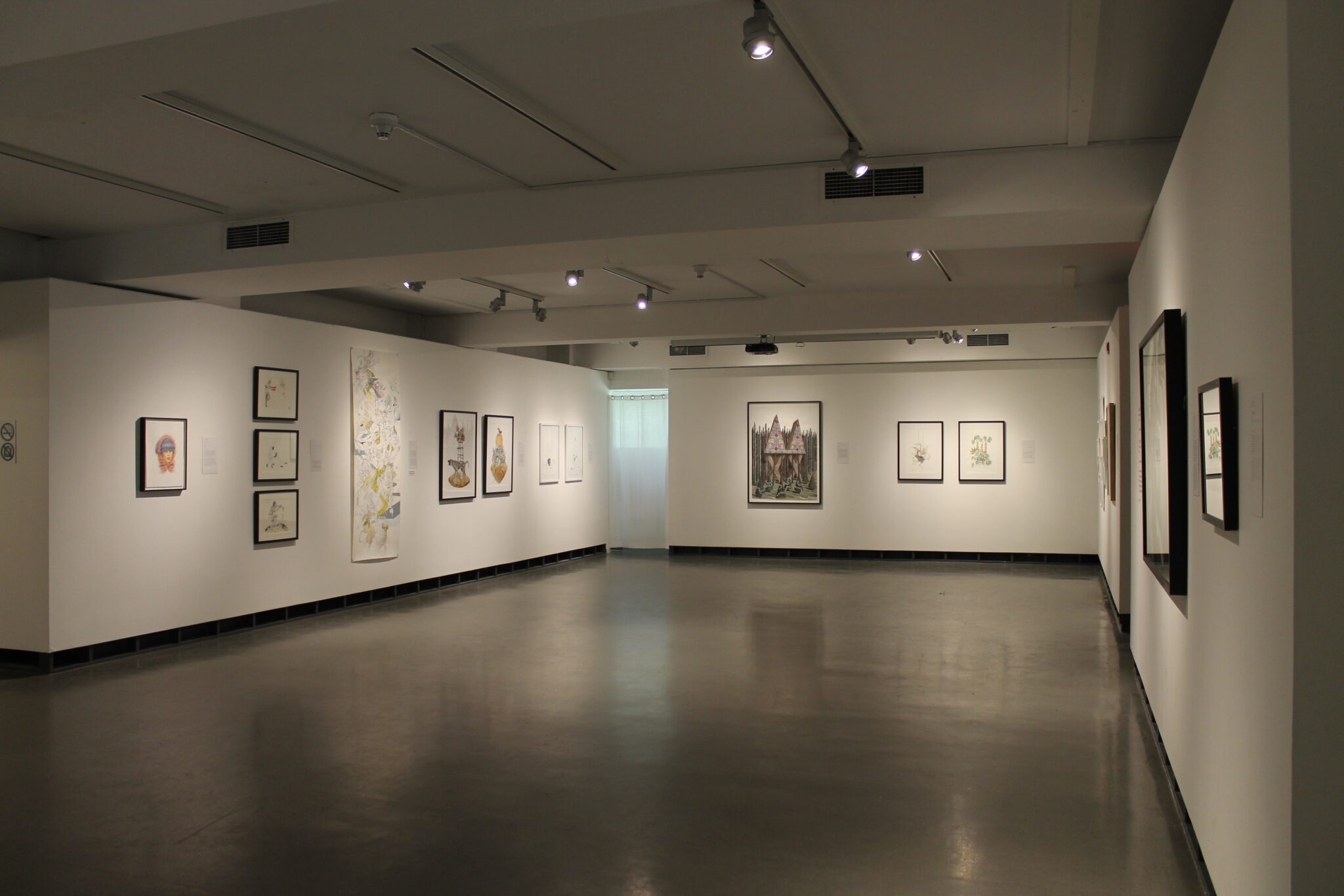 Assemble Five Years of Contemporary Canadian Drawing Art Gallery of