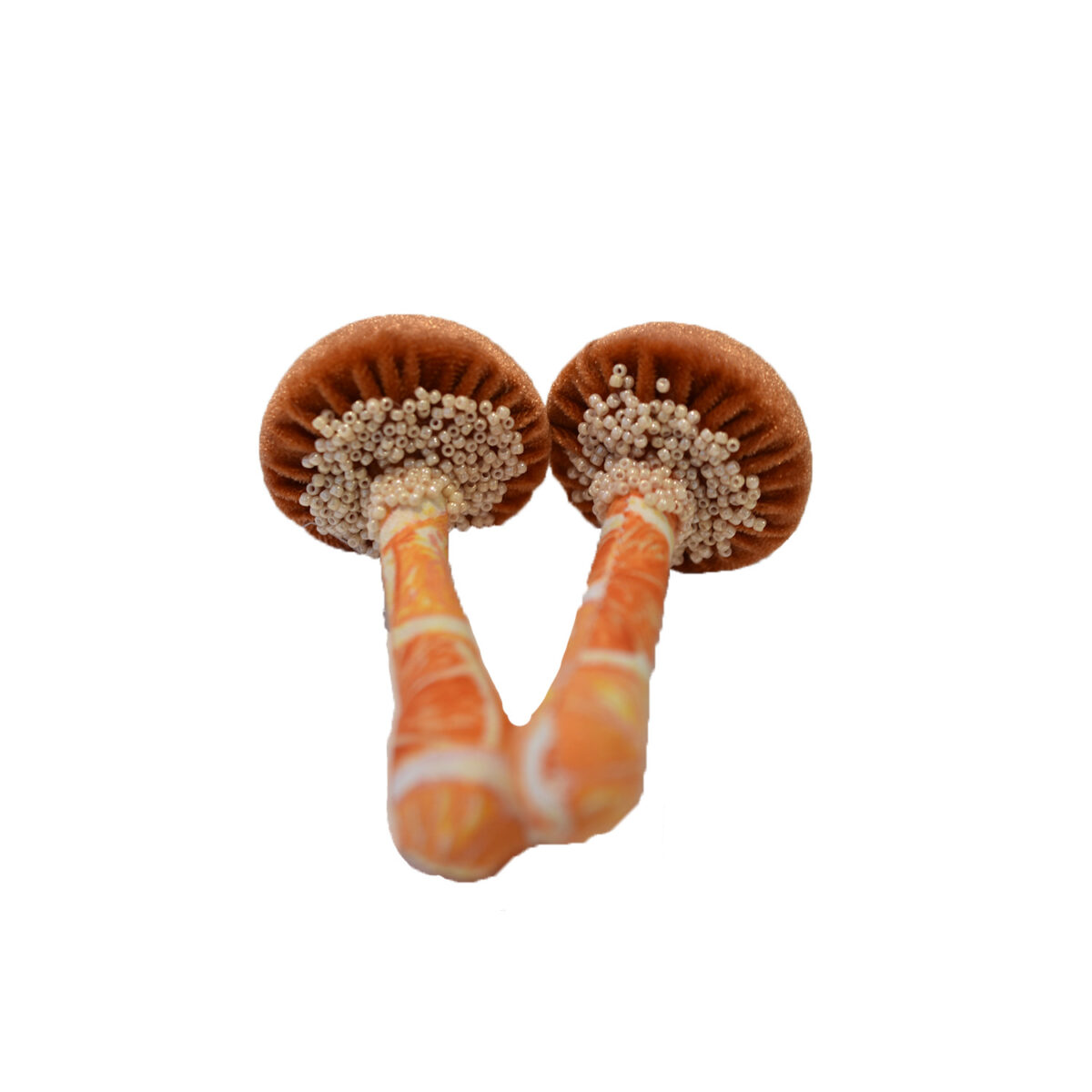 Mushroom Box Set Orange/Oranges